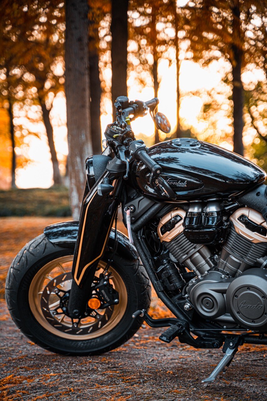 Benda Napoleon 500 Bobber, Phân Phối Chính Hãng, Giá Rẻ Tại Cần Thơ